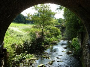 My photos are of Bradford Beck along Canal Road. I suppose they should be in the Open class, because they can be called neither Urban nor Rural. 