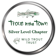 TinTT Silver badge FoBB