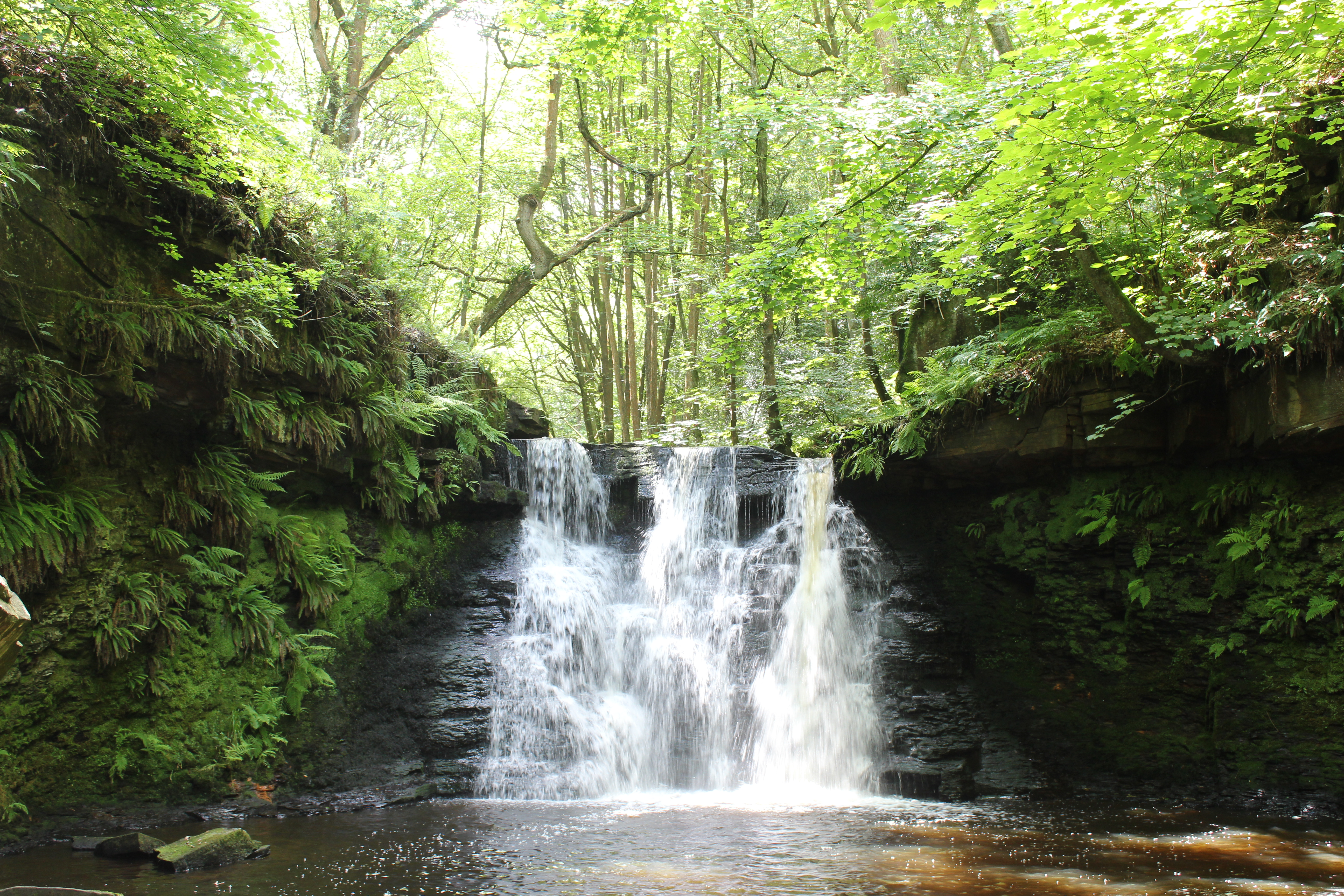Goit Stock falls on Harden Beck