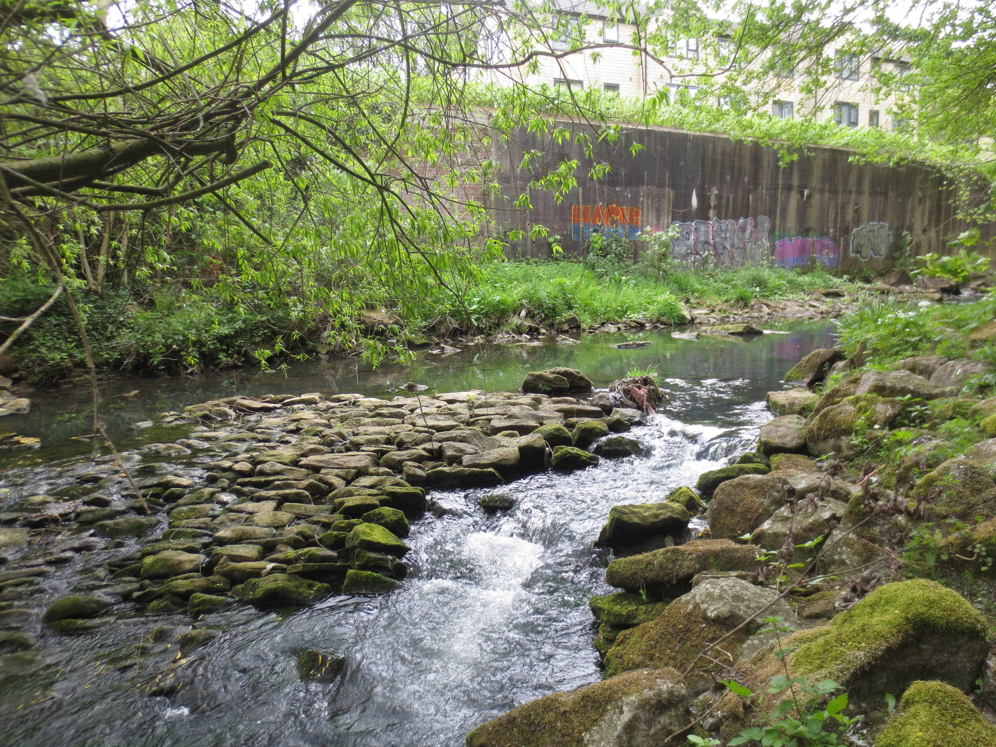 Bradford Beck near Briggate, Shipley